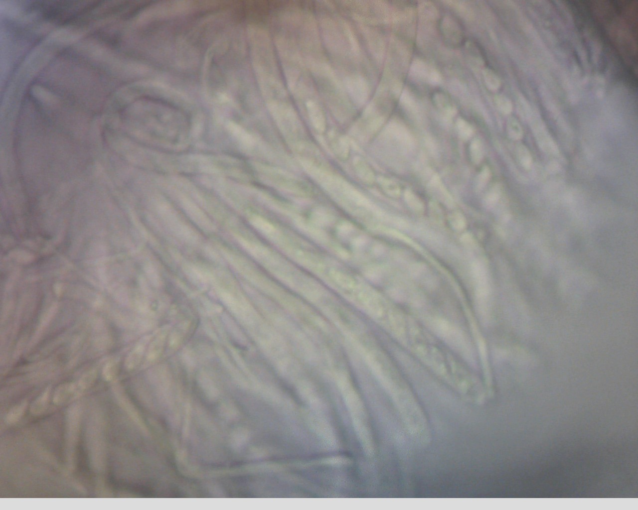 e0352220_15353148.jpg