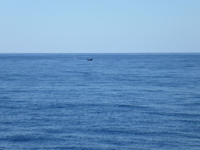 c0077835_121294.jpg