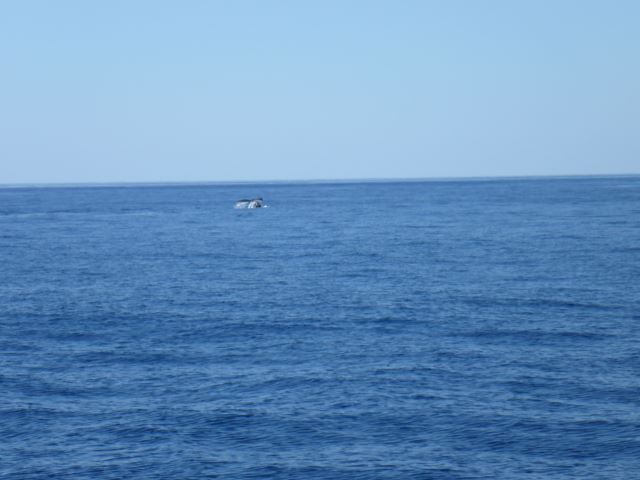 c0077835_122179.jpg