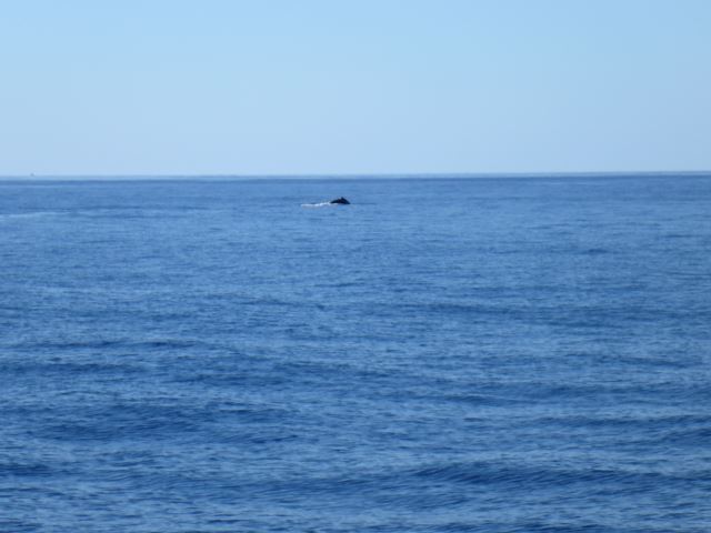 c0077835_123239.jpg
