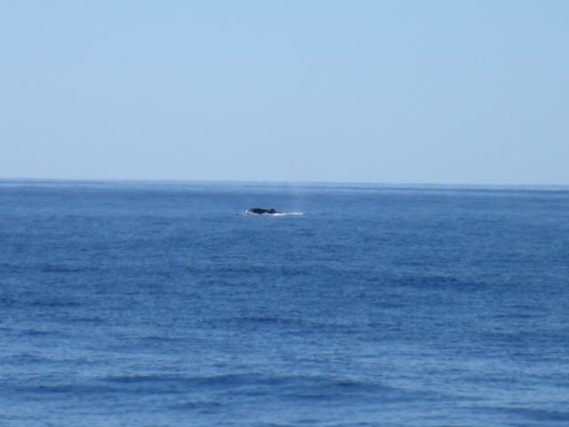 c0077835_124150.jpg