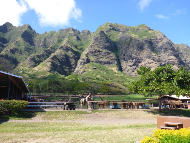 c0077835_804256.jpg
