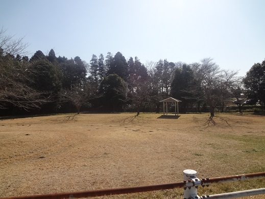d0057957_15121218.jpg