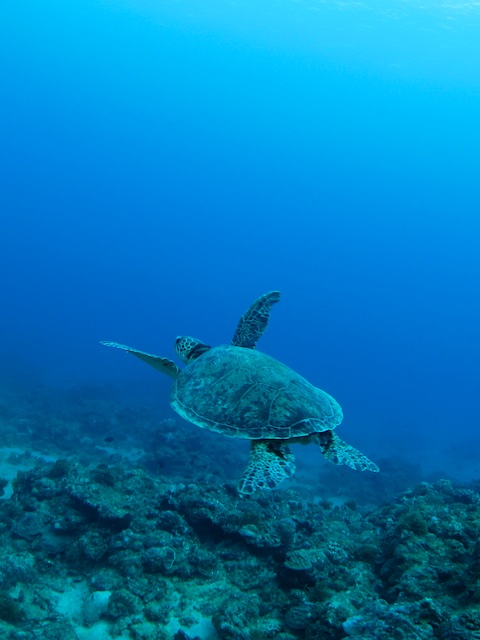 b0062363_8235262.jpg
