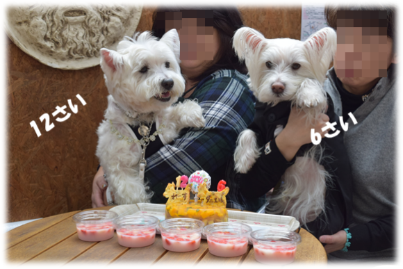 b0242873_00544571.png