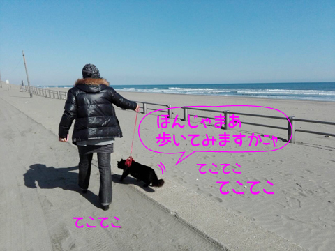 a0308381_13123447.jpg