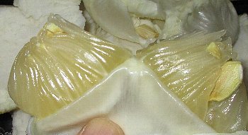 f0003283_15375918.jpg