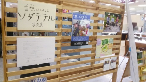 a0196286_2244046.jpg