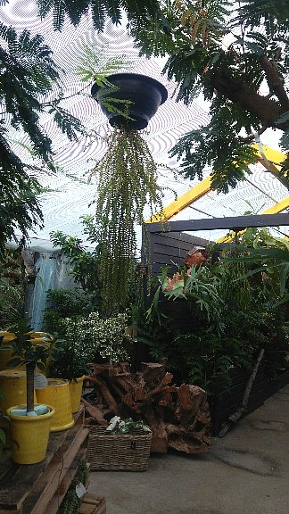 b0075888_712225.jpg
