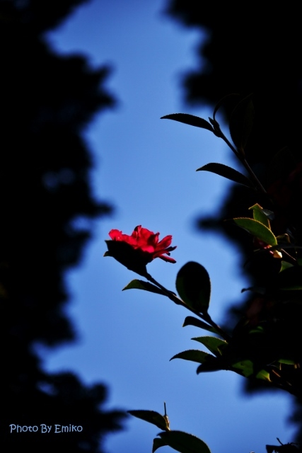 c0246290_20154589.jpg