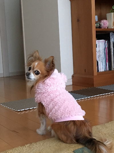 b0160300_131349.jpg