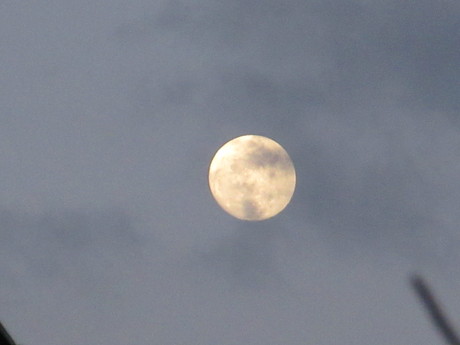 a0203003_2162348.jpg