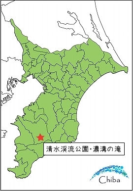 d0179828_11561798.jpg