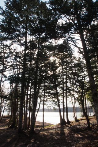 b0042334_20544580.jpg