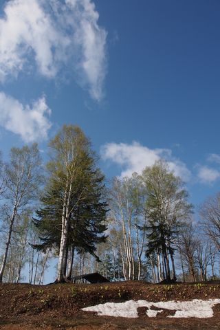 b0042334_20552529.jpg