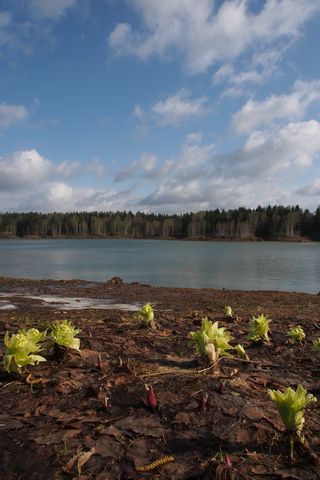 b0042334_2055347.jpg