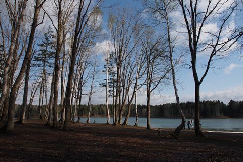 b0042334_20554540.jpg