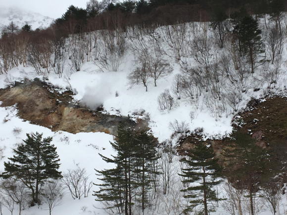 c0090236_11301251.jpg