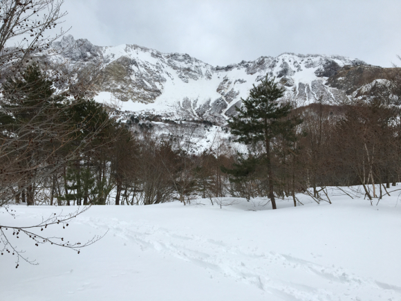 c0090236_11301310.jpg