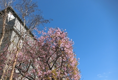 b0120541_22312799.jpg