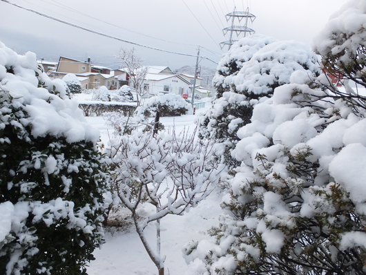 c0153444_824128.jpg
