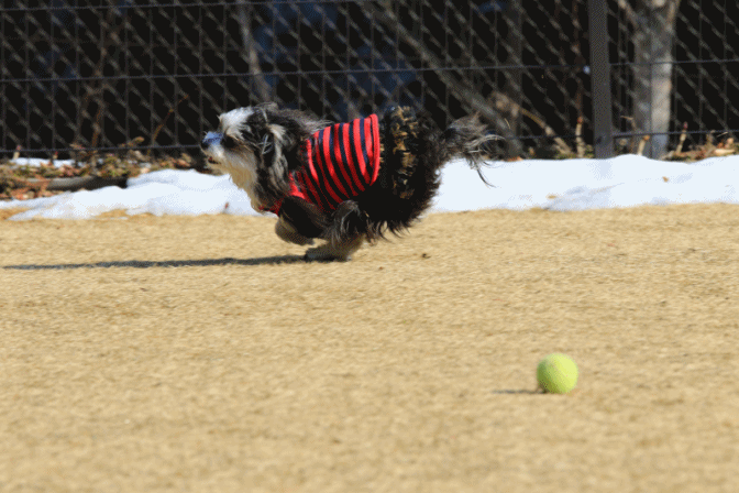 c0145250_09331995.gif
