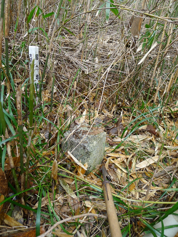d0007657_18494534.jpg