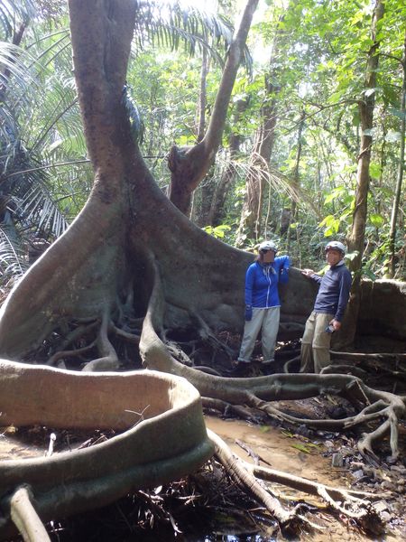 c0115660_13571227.jpg