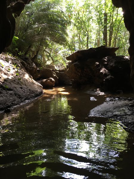 c0115660_1413737.jpg