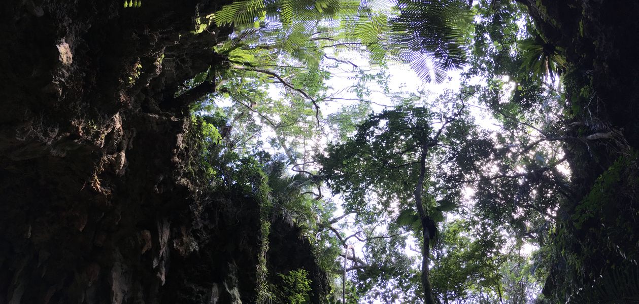 c0115660_1451052.jpg