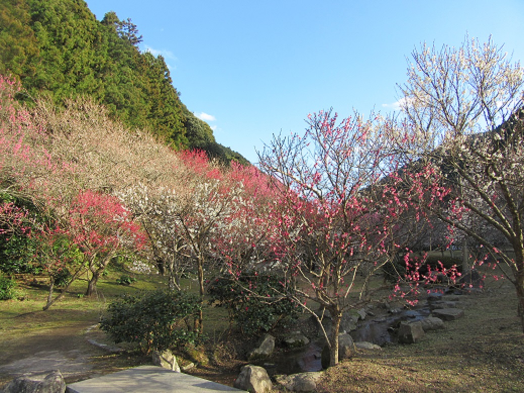 f0113862_17263148.jpg