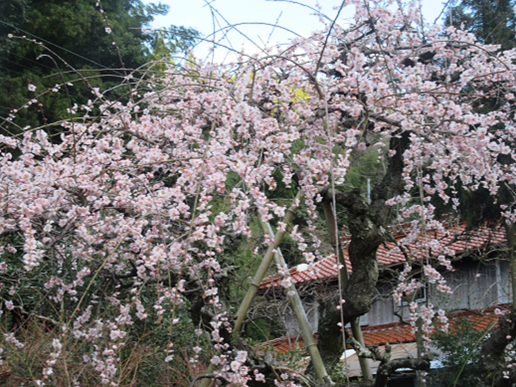 f0113862_17312177.jpg