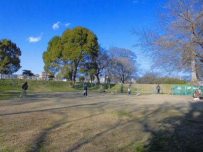 e0002466_18263373.jpg