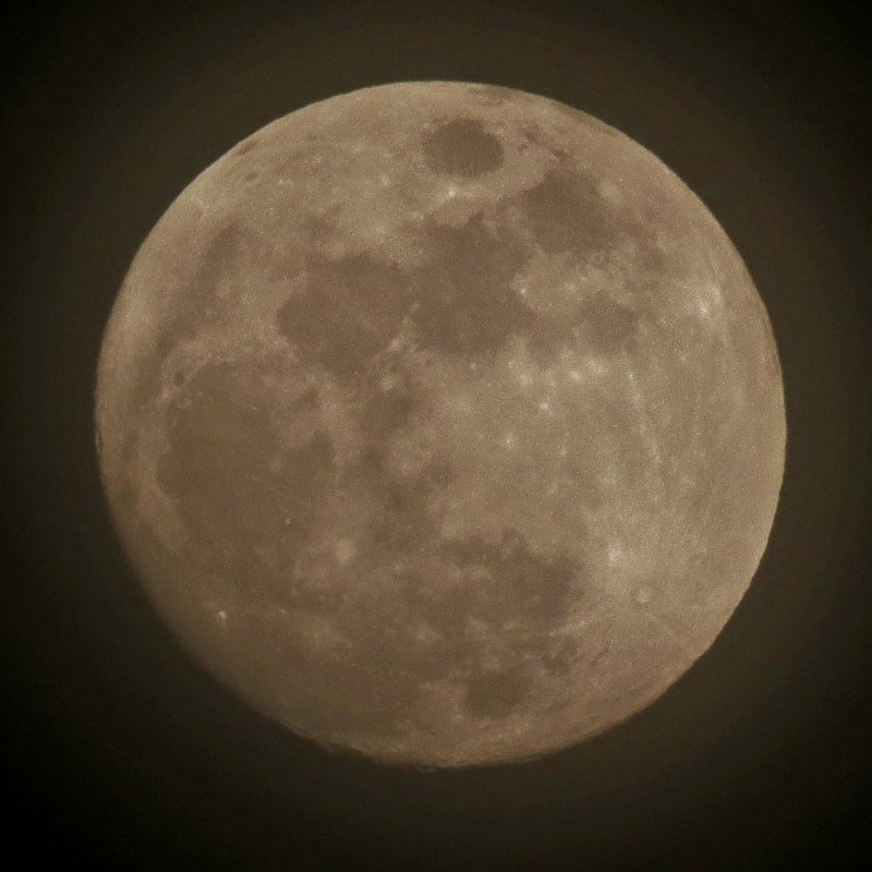 c0183777_20382517.jpg