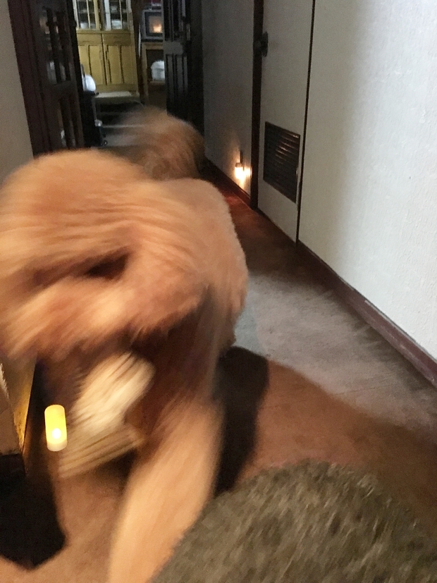 c0283778_1465430.jpg