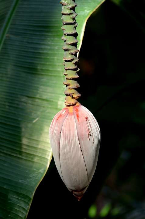 f0108478_11382138.jpg