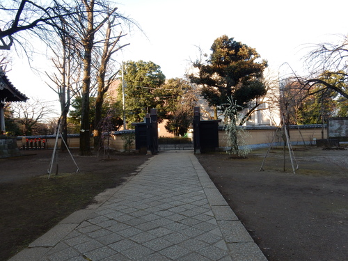 a0326292_19273255.jpg