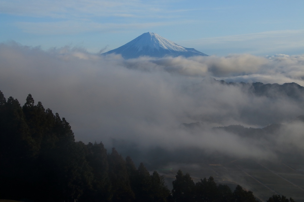a0188405_21205416.jpg