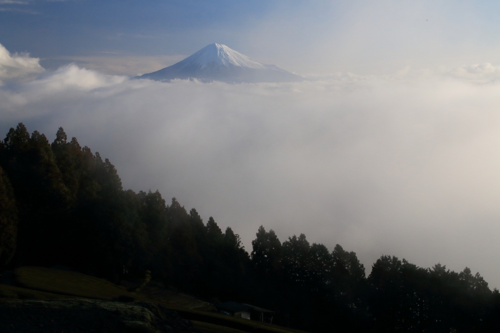 a0188405_21211792.jpg