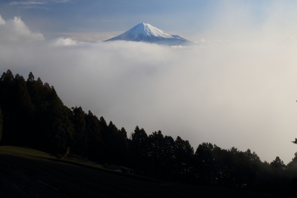a0188405_21213635.jpg