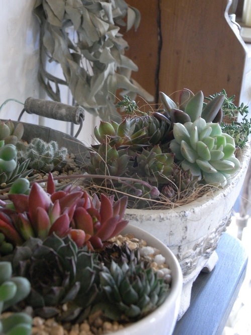 c0167112_17491713.jpg
