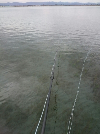b0259124_20580357.jpg