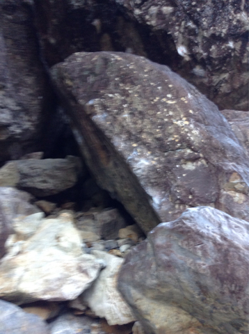 b0078426_23505718.jpg