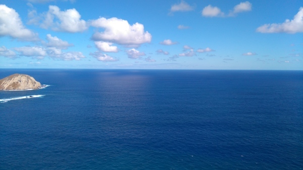 c0077835_08522652.jpg