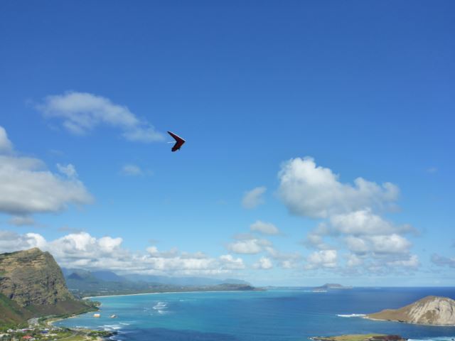 c0077835_8571574.jpg
