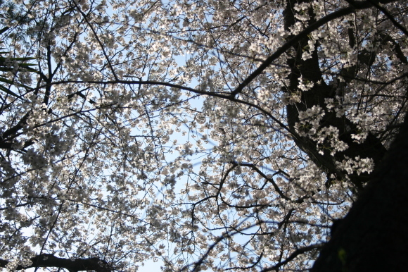 f0333437_10130864.jpg