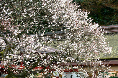 d0143739_0142957.jpg
