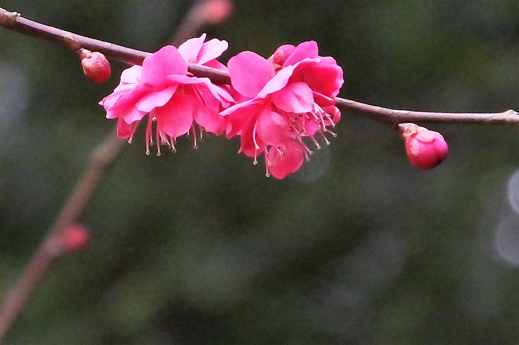 b0236251_1153834.jpg