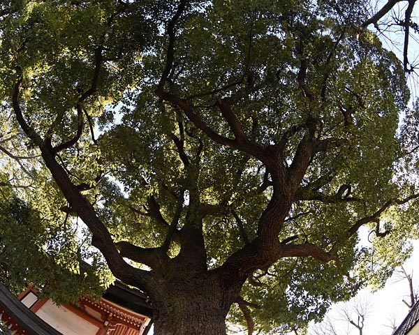 e0035757_00344418.jpg