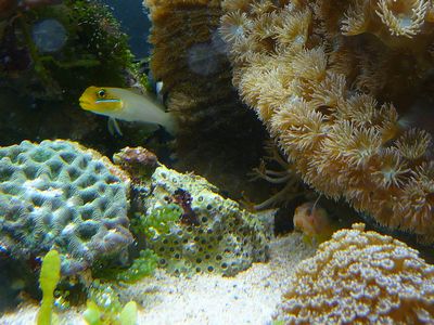 c0167359_12321629.jpg